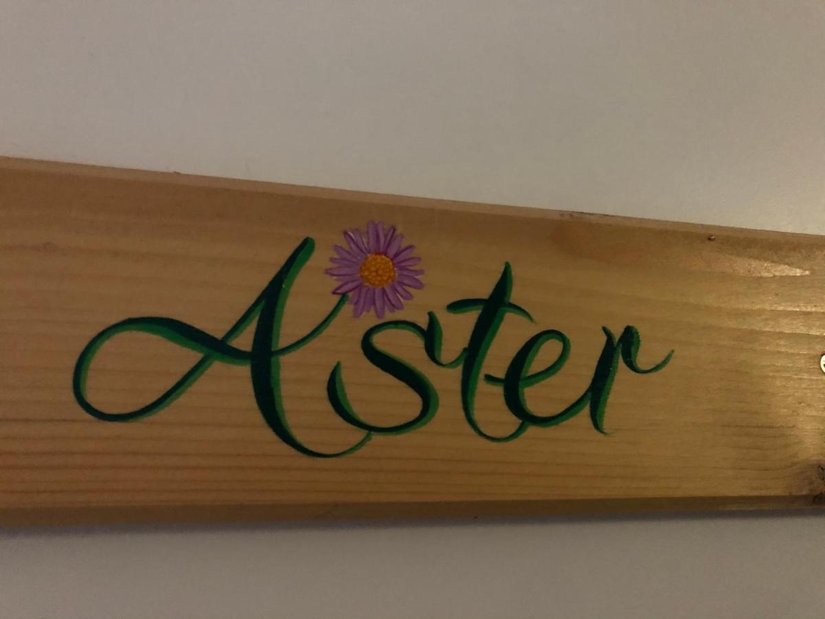 Apartment Aster Laureane 1er Etage